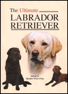 The Ultimate Labrador Retriever