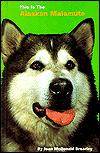 This Is the Alaskan Malamute