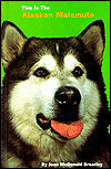 This Is the Alaskan Malamute
