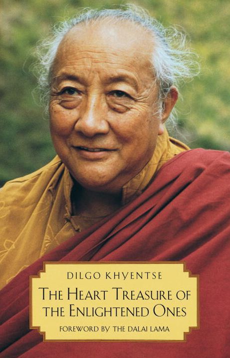 Heart Treasure of the Enlightened Ones: The Practice of View, Meditation, and Action