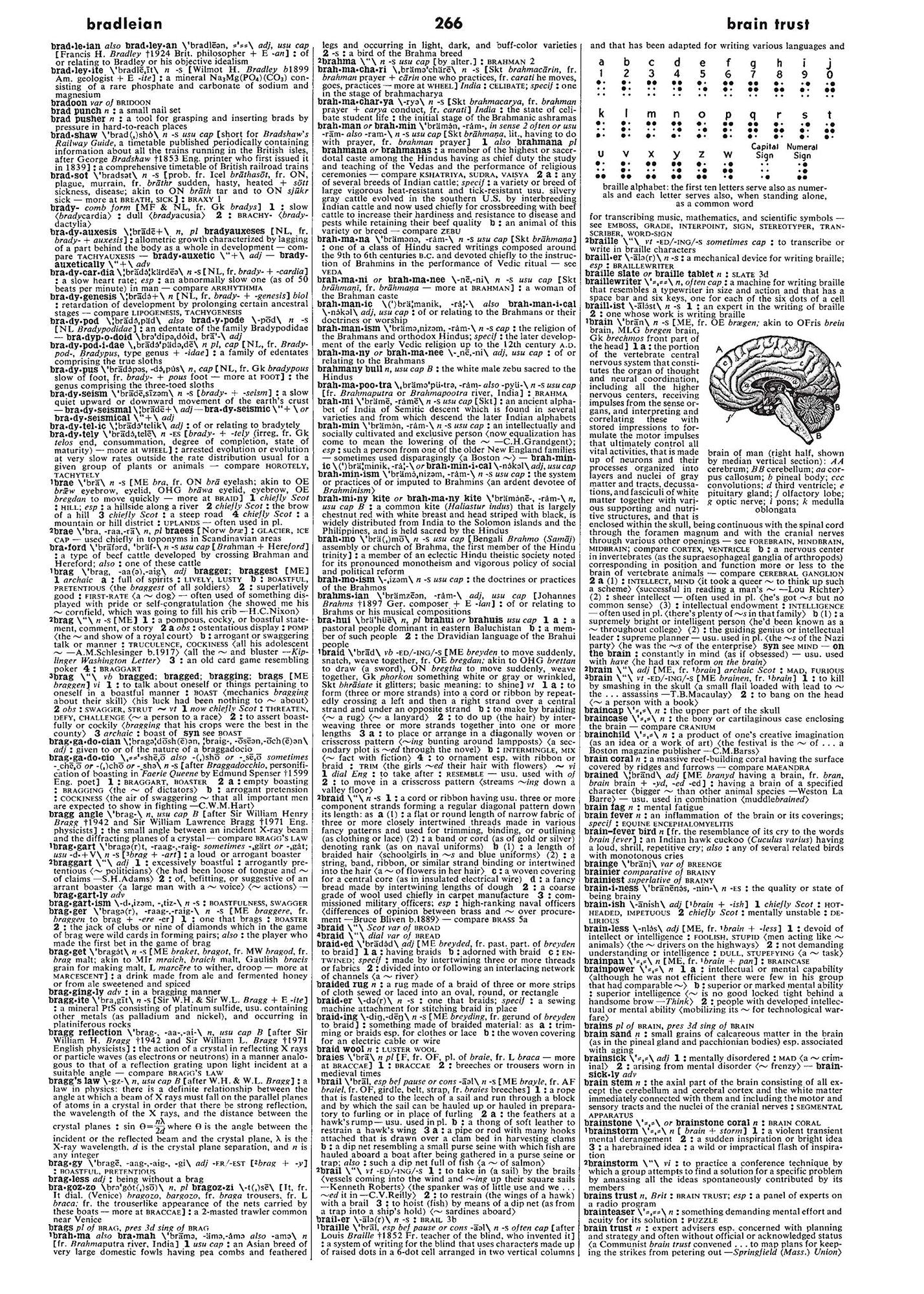 Webster's Third New International Dictionary