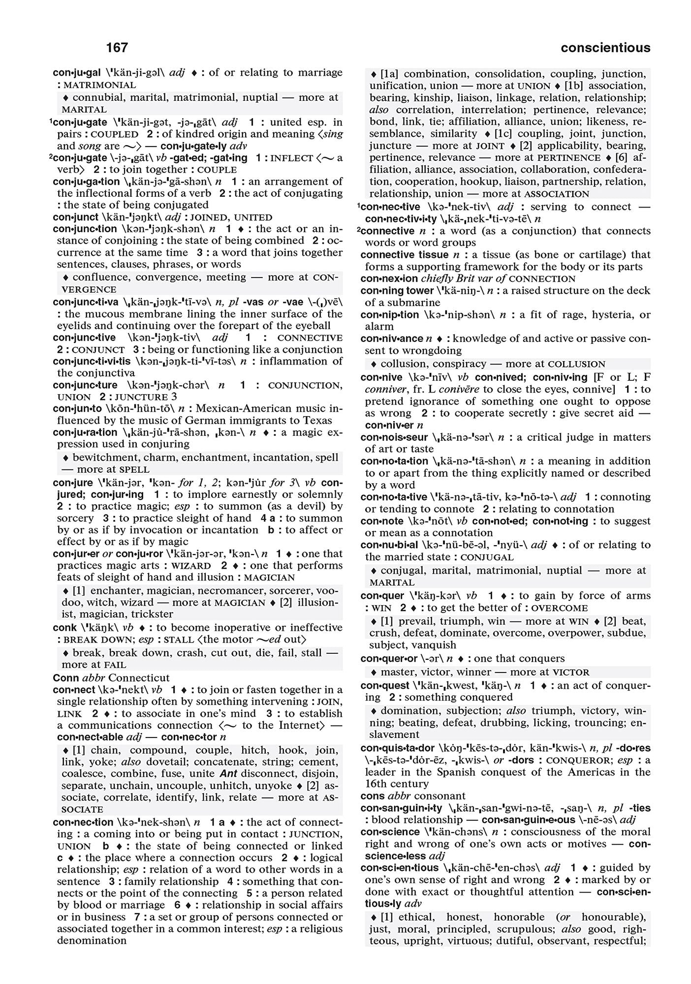 Merriam-Webster's Dictionary and Thesaurus