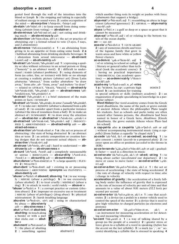 Merriam-Webster's Intermediate Dictionary