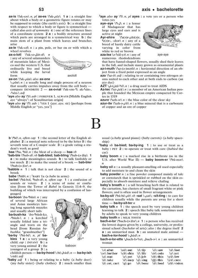 Merriam-Webster's Intermediate Dictionary