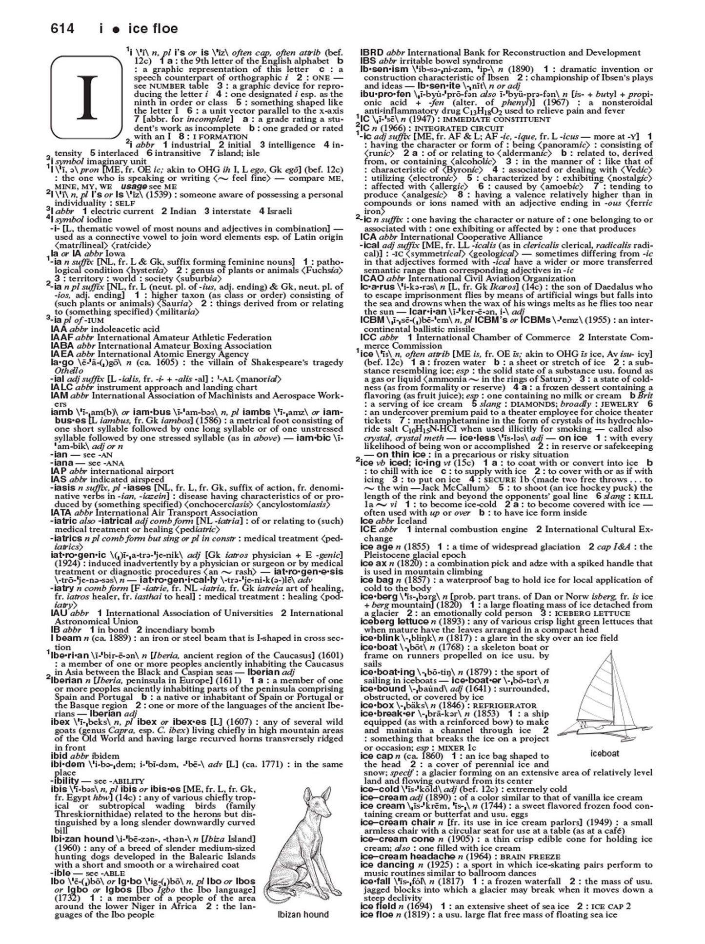 Merriam-Webster's Collegiate Dictionary