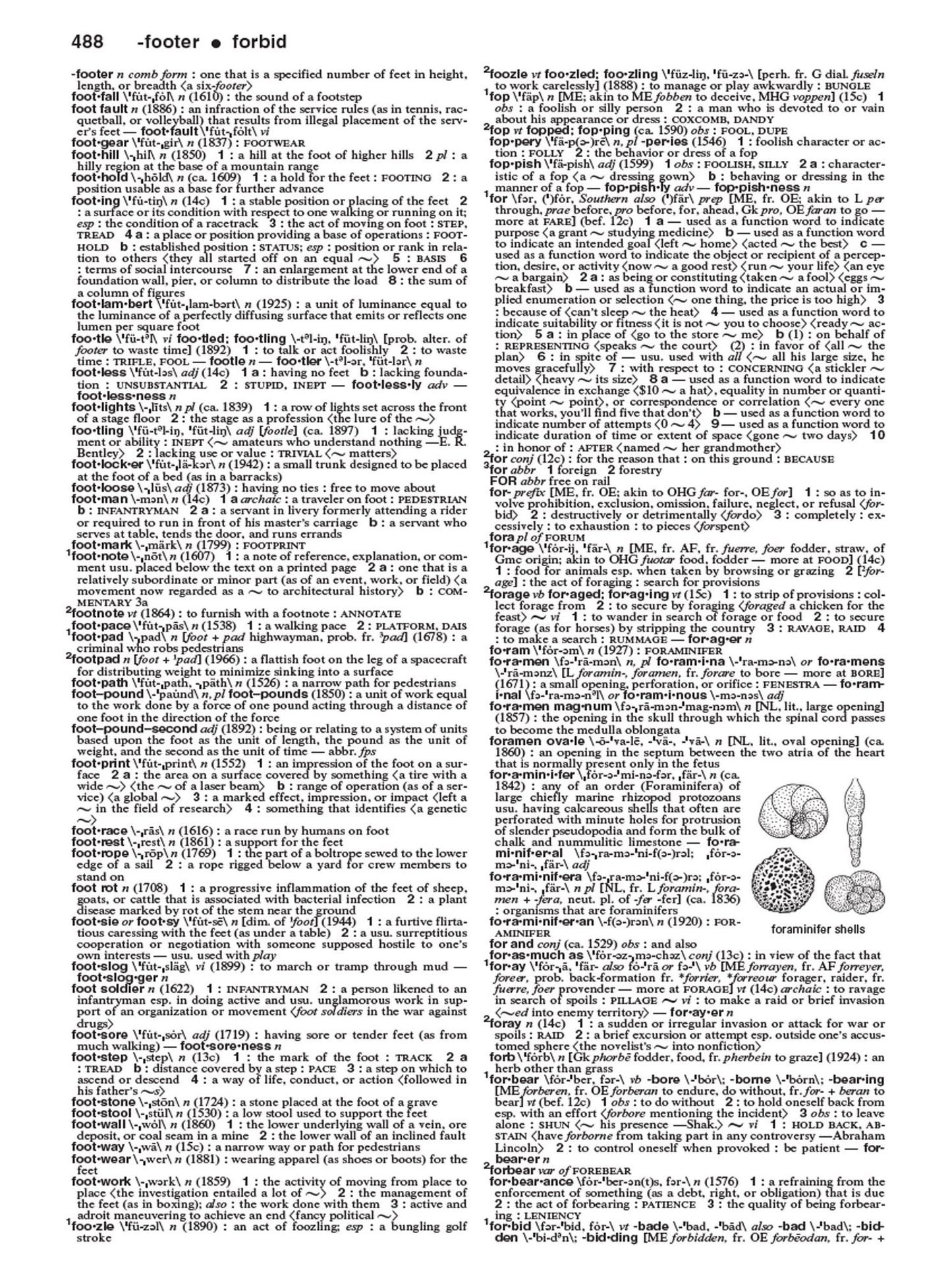 Merriam-Webster's Collegiate Dictionary