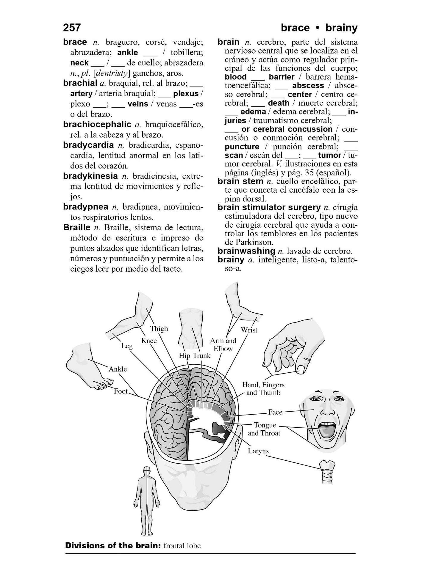 Merriam-Webster's Spanish-English Medical Dictionary
