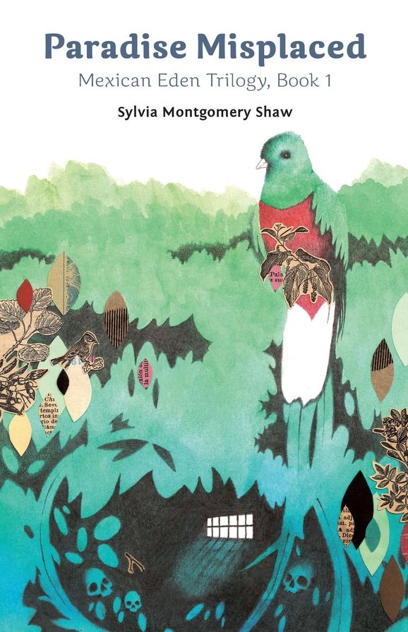 Paradise Misplaced: Book 1 of the Mexican Eden Trilogy