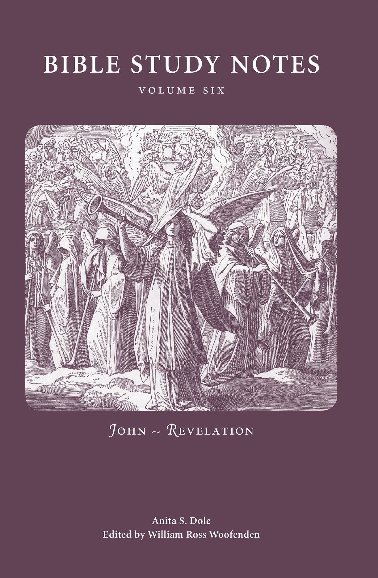 Bible Study Notes Volume 6: John, Revelation