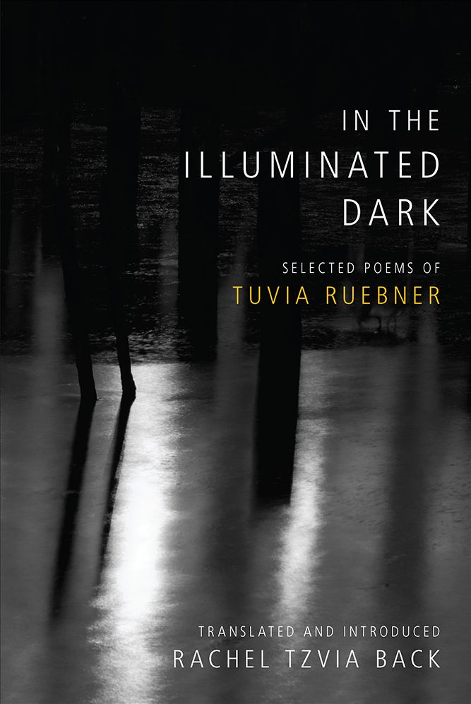 In the Illuminated Dark: Selected Poems of Tuvia Ruebner
