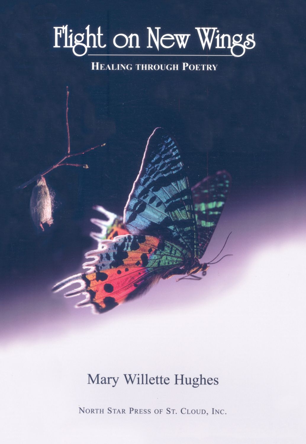 Flight on New Wings: Healing through Poetry