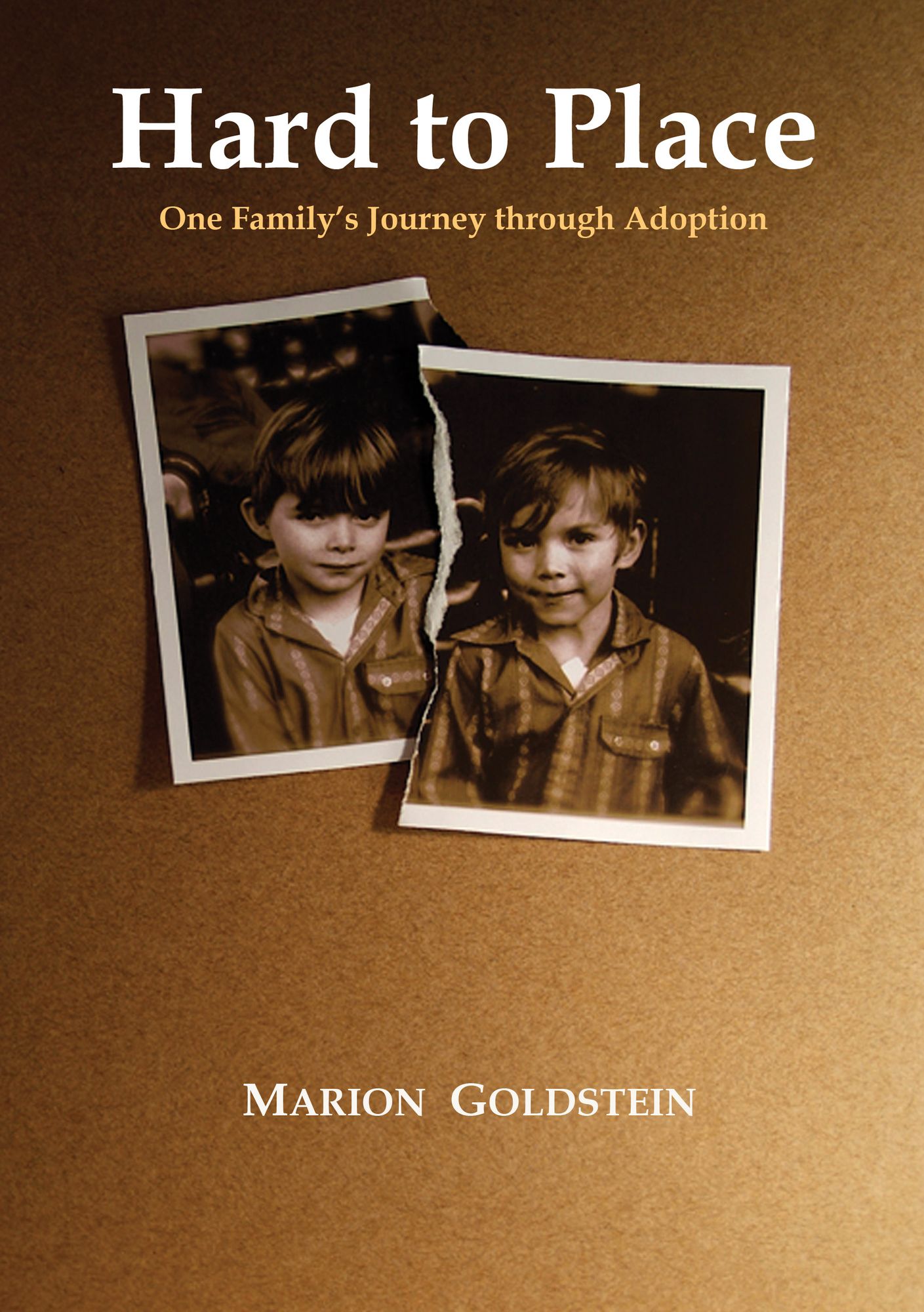 Hard to Place: One Family's Journey Through Adoption