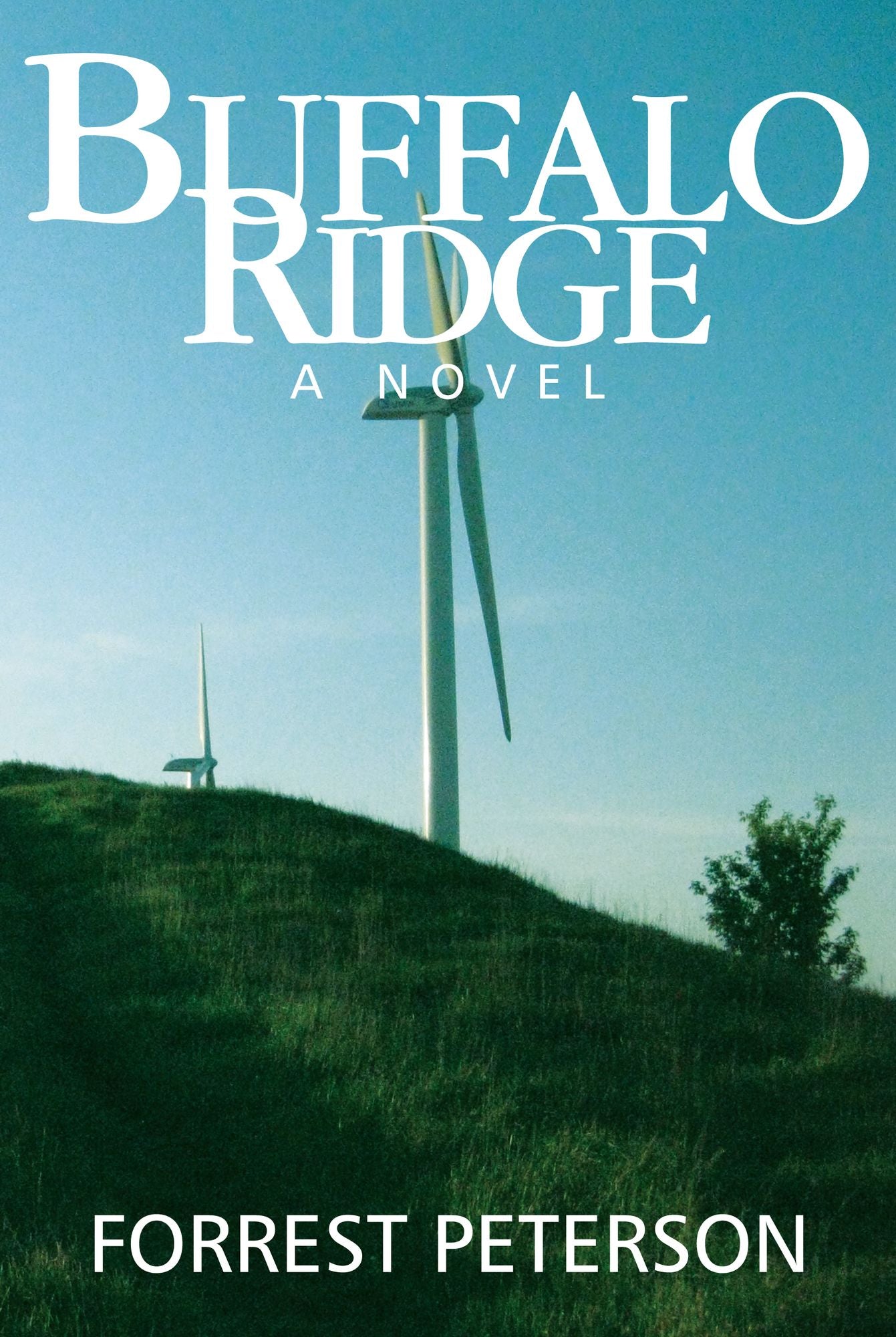 Buffalo Ridge: A Novel