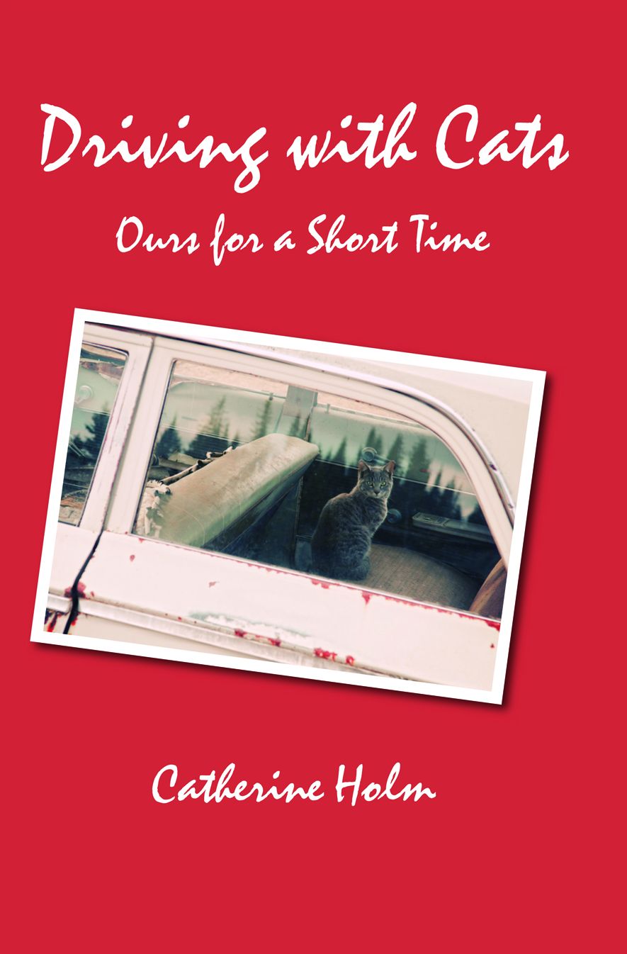 Driving with Cats: Ours for A Short Time