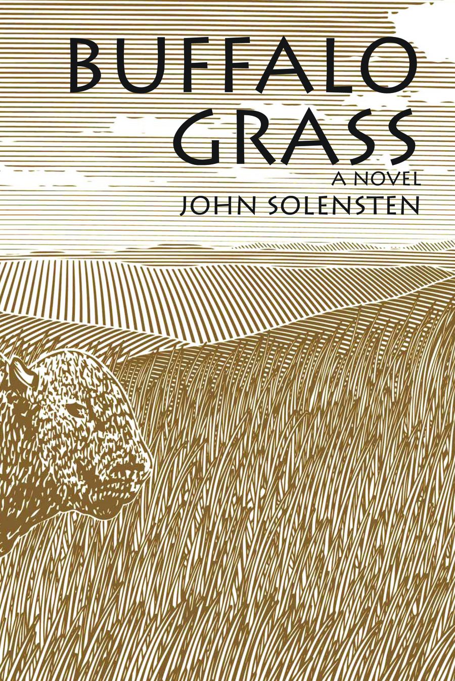 Buffalo Grass