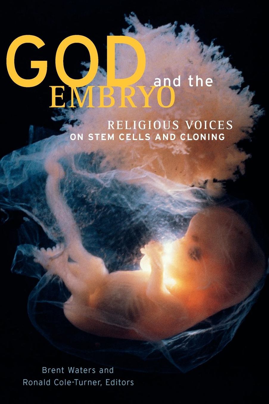 God And The Embryo