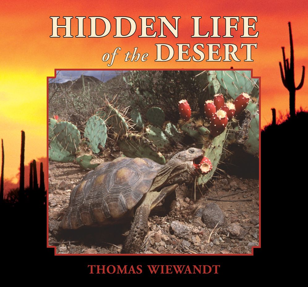 Hidden Life of the Desert