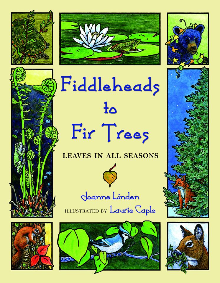 Fiddleheads to Fir Trees: Leaves in All Seasons