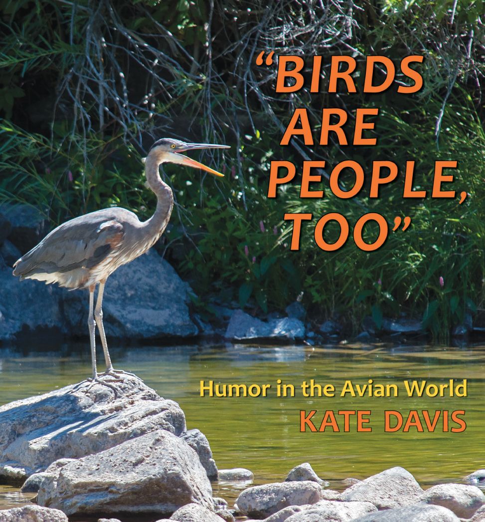 Birds Are People Too