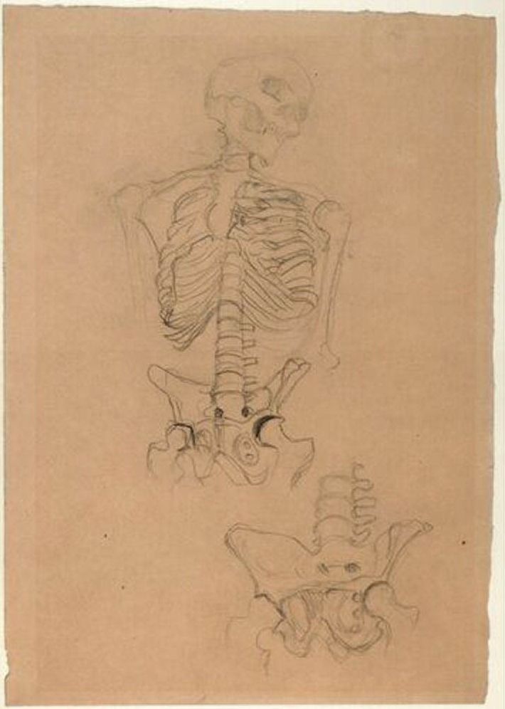 Klimt and Schiele: Drawings