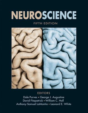 Neuroscience