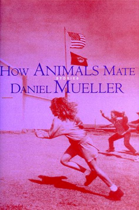 How Animals Mate