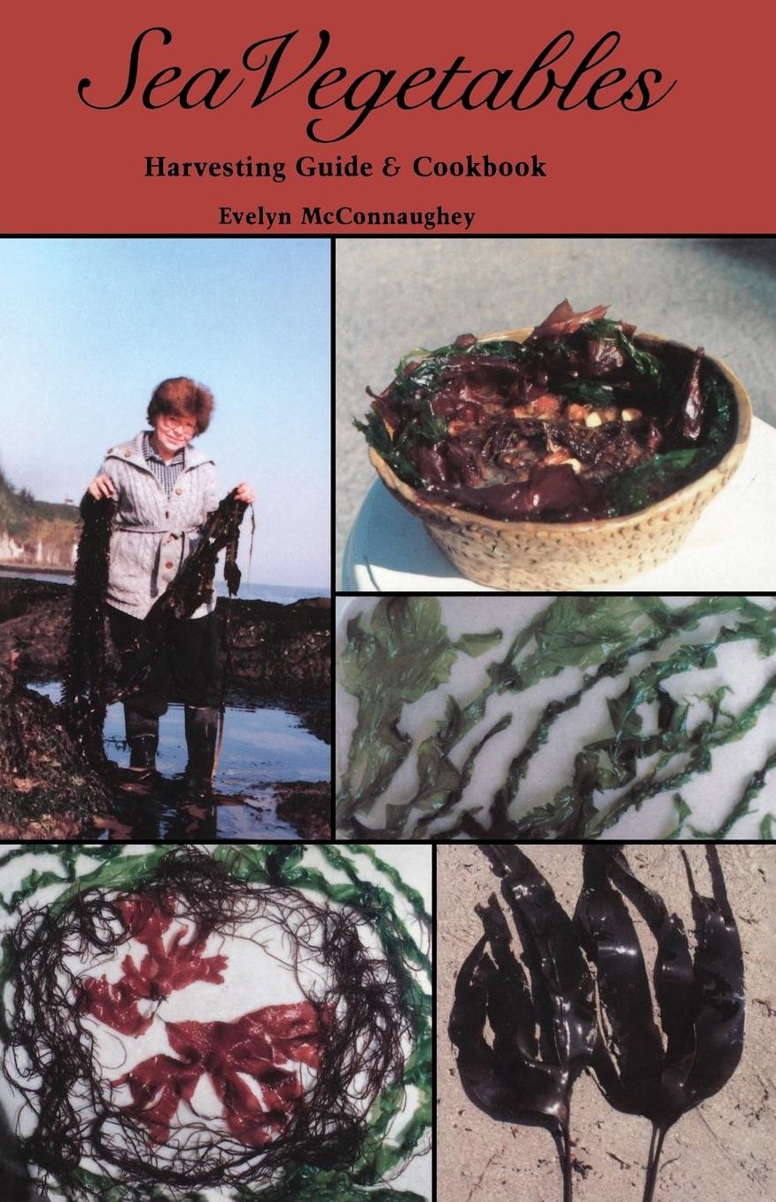 Sea Vegetables: Harvesting Guide and Cookbook