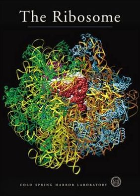 The Ribosome