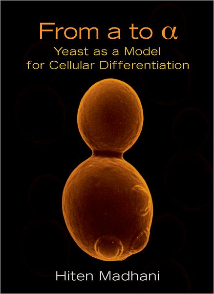 From A to Alpha: Yeast as a Model for Cellular Differentiation