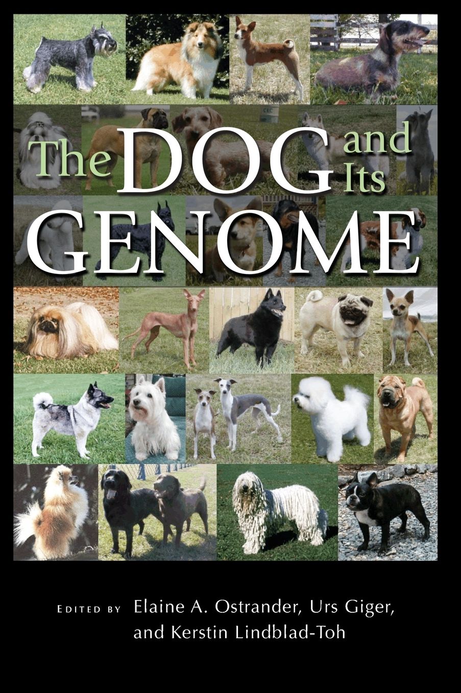 Dog And Its Genome #44