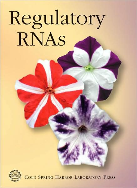 Regulatory RNAs