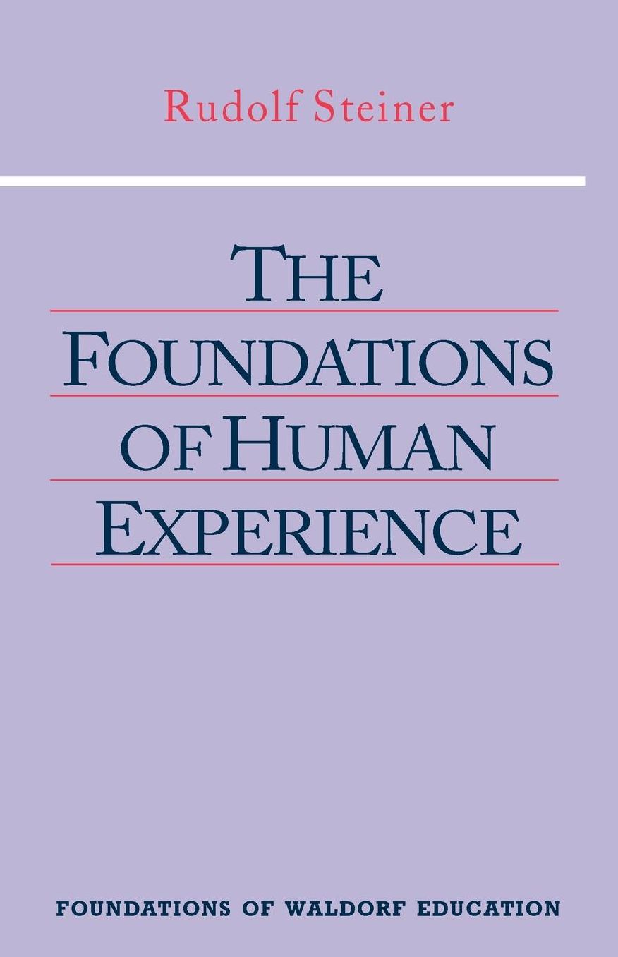 The Foundations of Human Experience