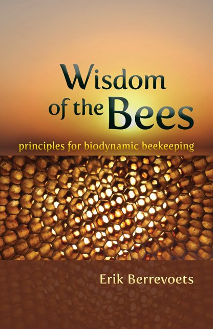 Wisdom of the Bees