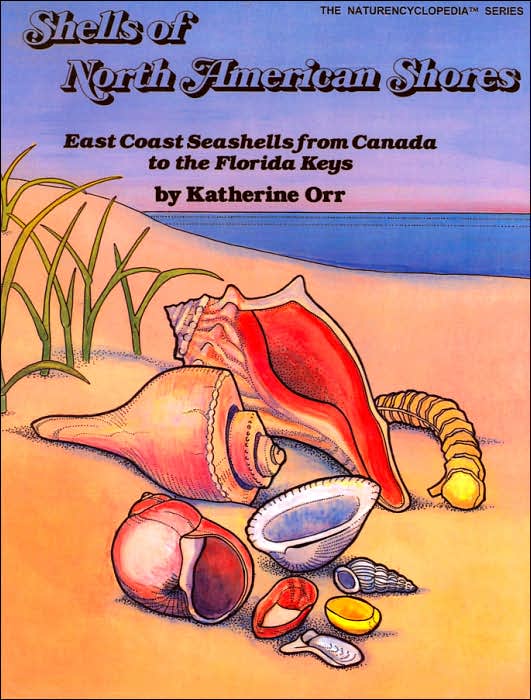 Shells of North American Shores: East Coast Seashells from Canada to the Florida Keys (The Naturencyclopedia Series)