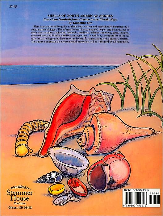 Shells of North American Shores: East Coast Seashells from Canada to the Florida Keys (The Naturencyclopedia Series)