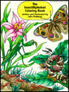 The Insect Alphabet Encyclopedia