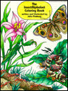 The Insect Alphabet Encyclopedia