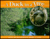 A Duck in a Tree