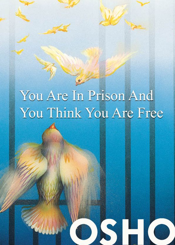 You Are in Prison and You Think You Are Free