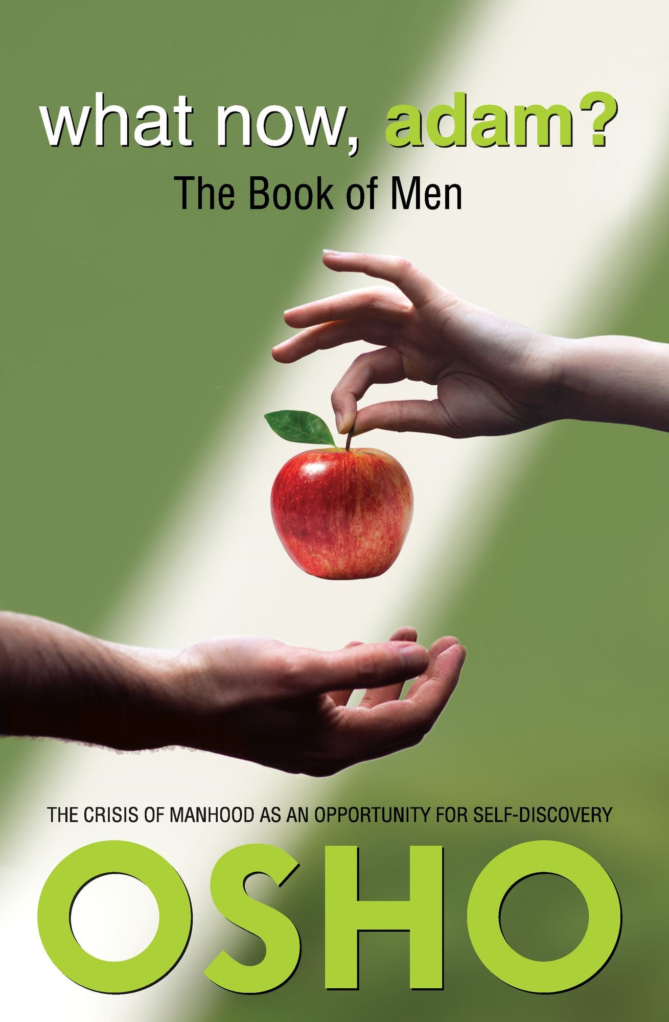 What Now, Adam?: The Book of Men