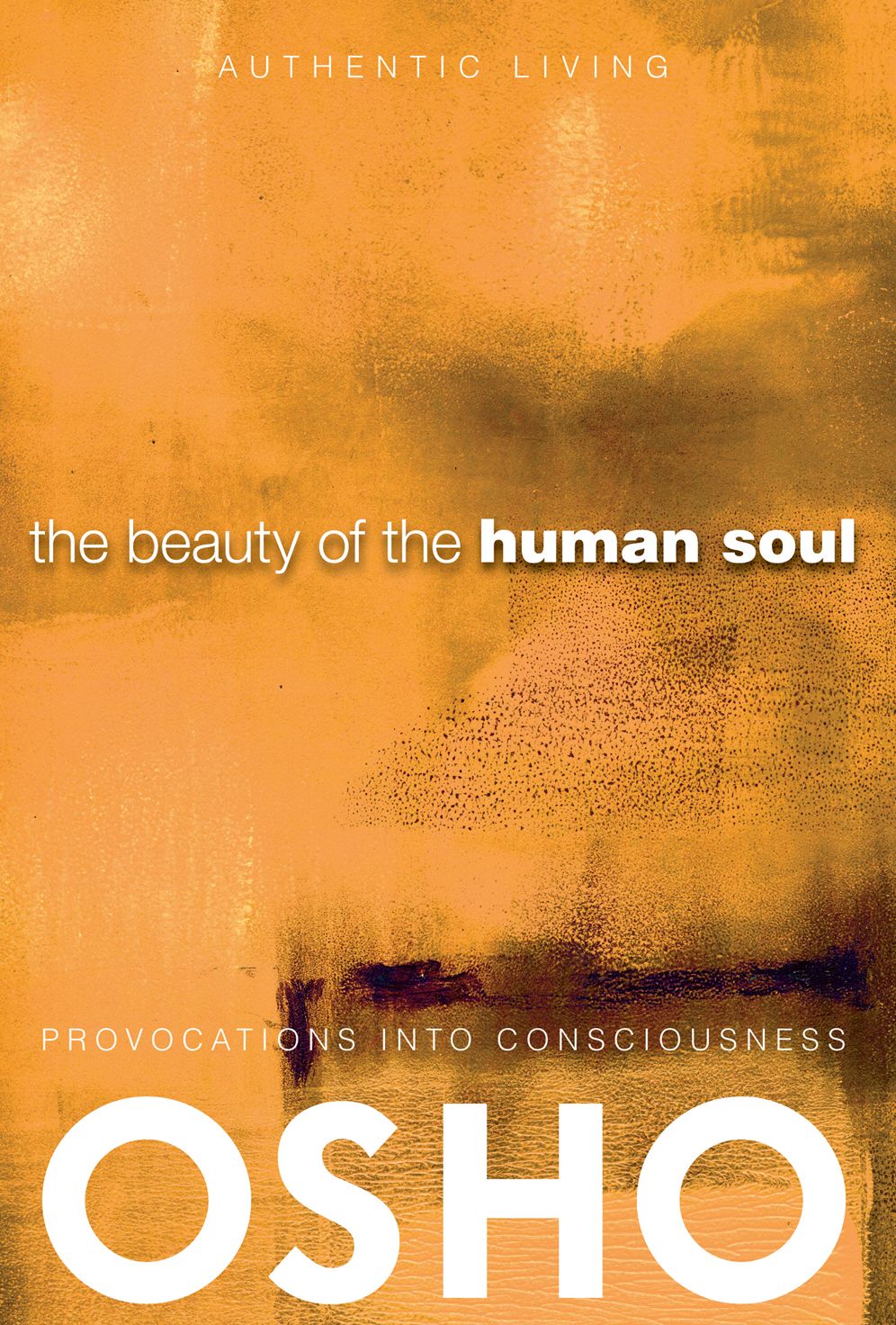The Beauty of the Human Soul: Provocations Into Consciousness