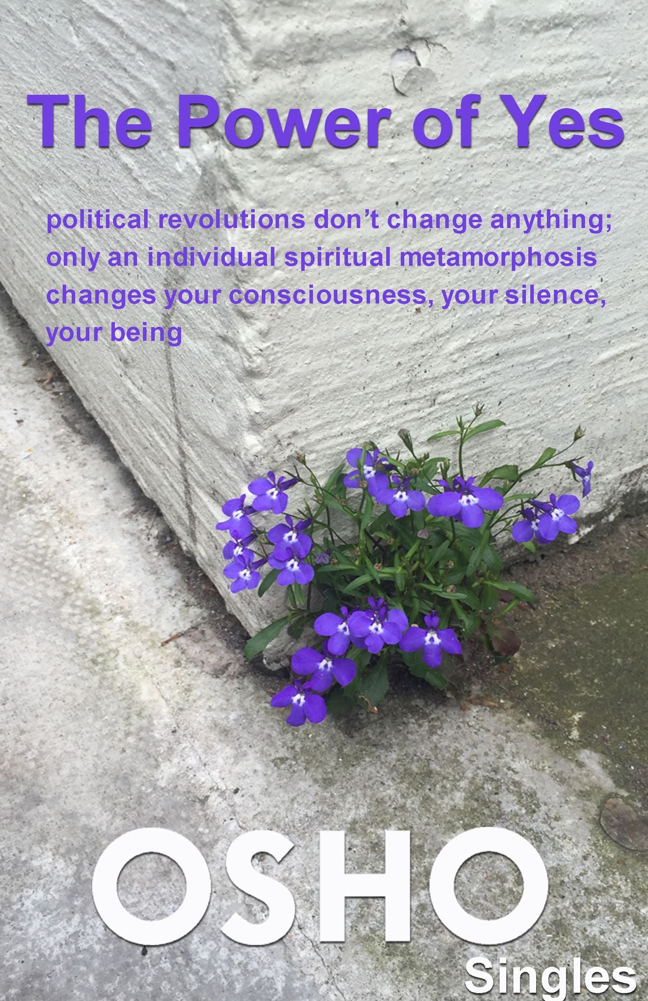 The Power of Yes: political revolutions don't change anything, only an individual spiritual metamorphosis changes your consciousness, your silence, your being