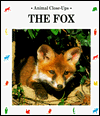 The Fox: Playful Prowler