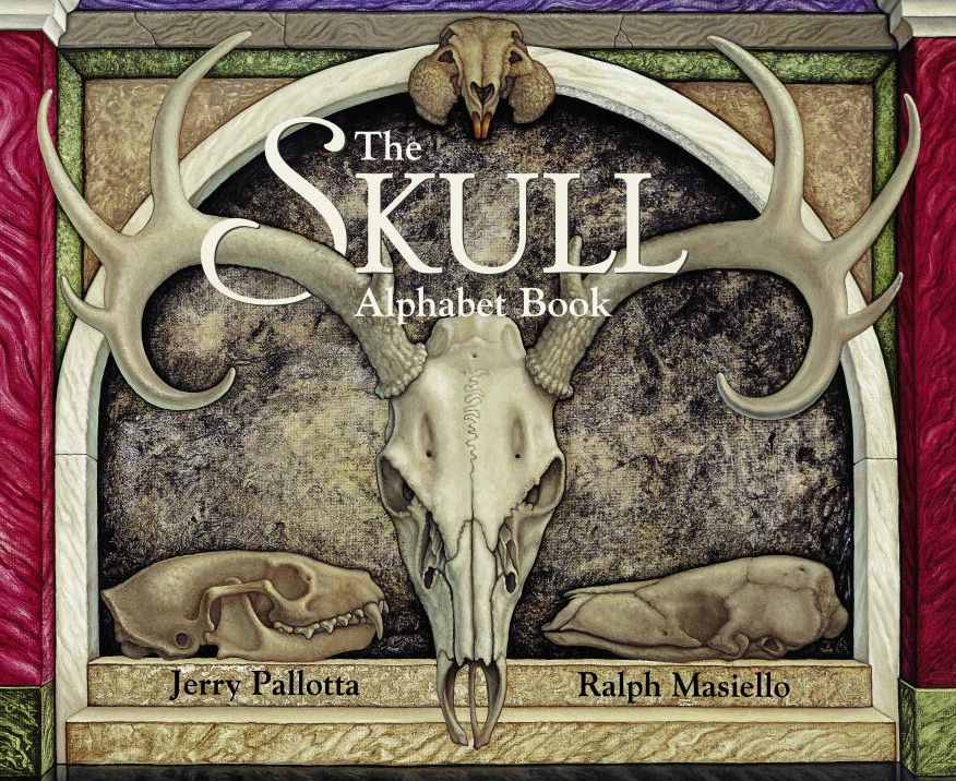 Skull Alphabet Book