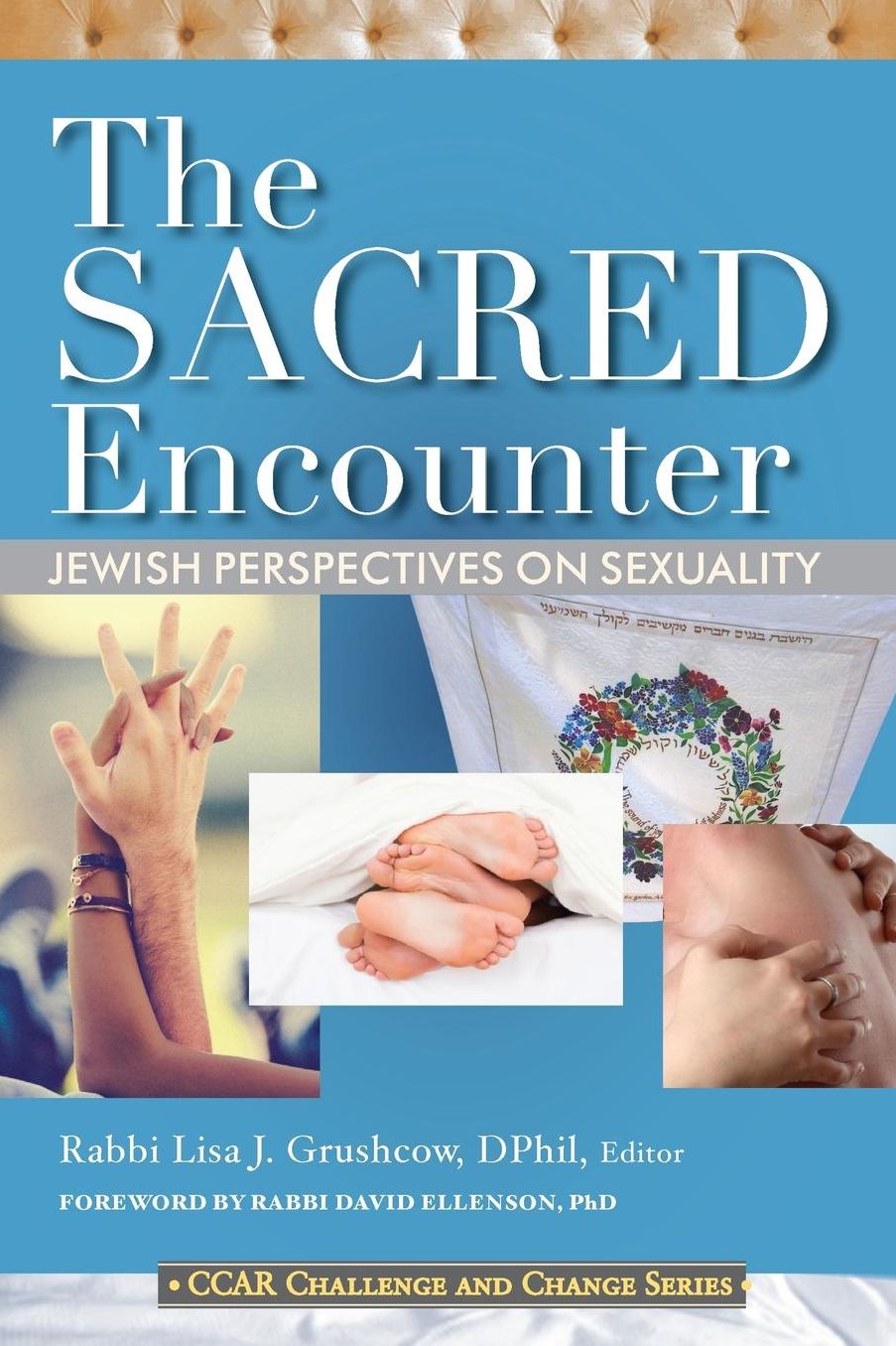 Essays on Jewish Sexual Ethics