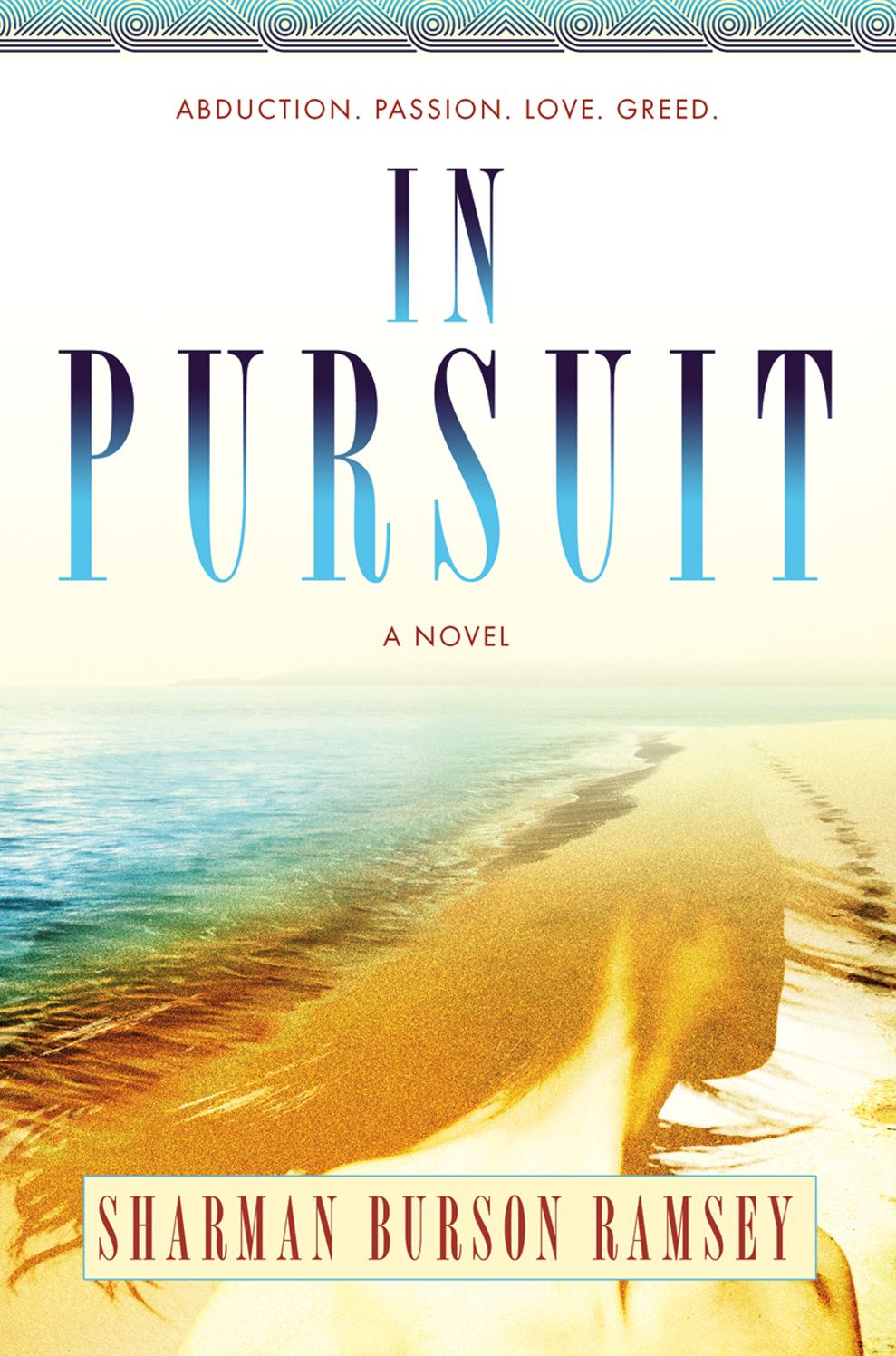 In Pursuit: A Novel