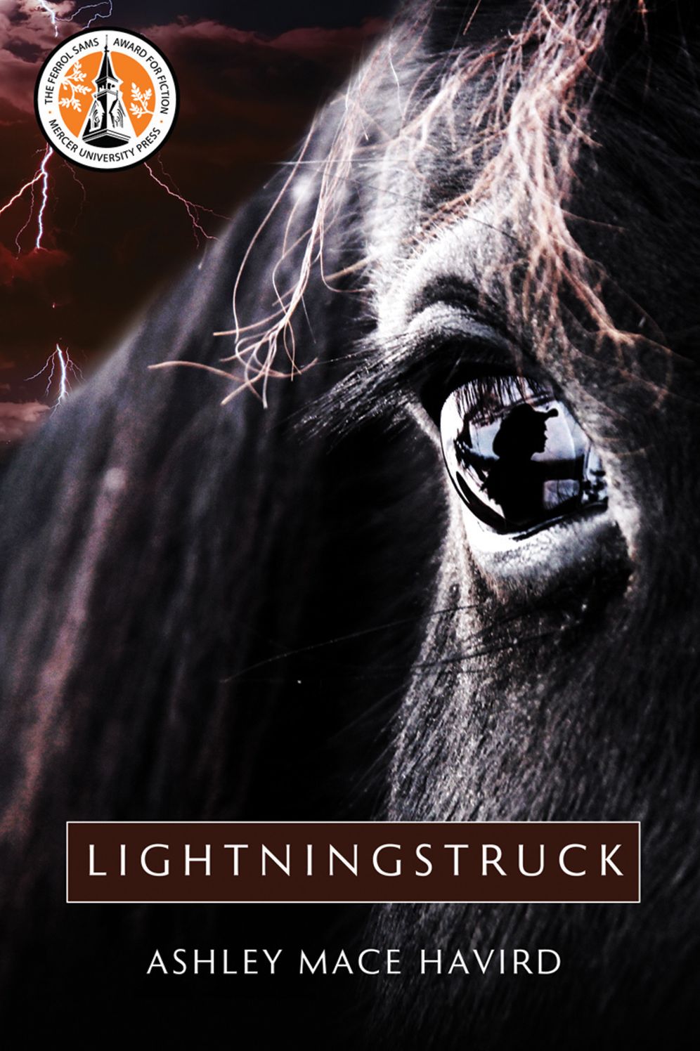 Lightningstruck: A Novel