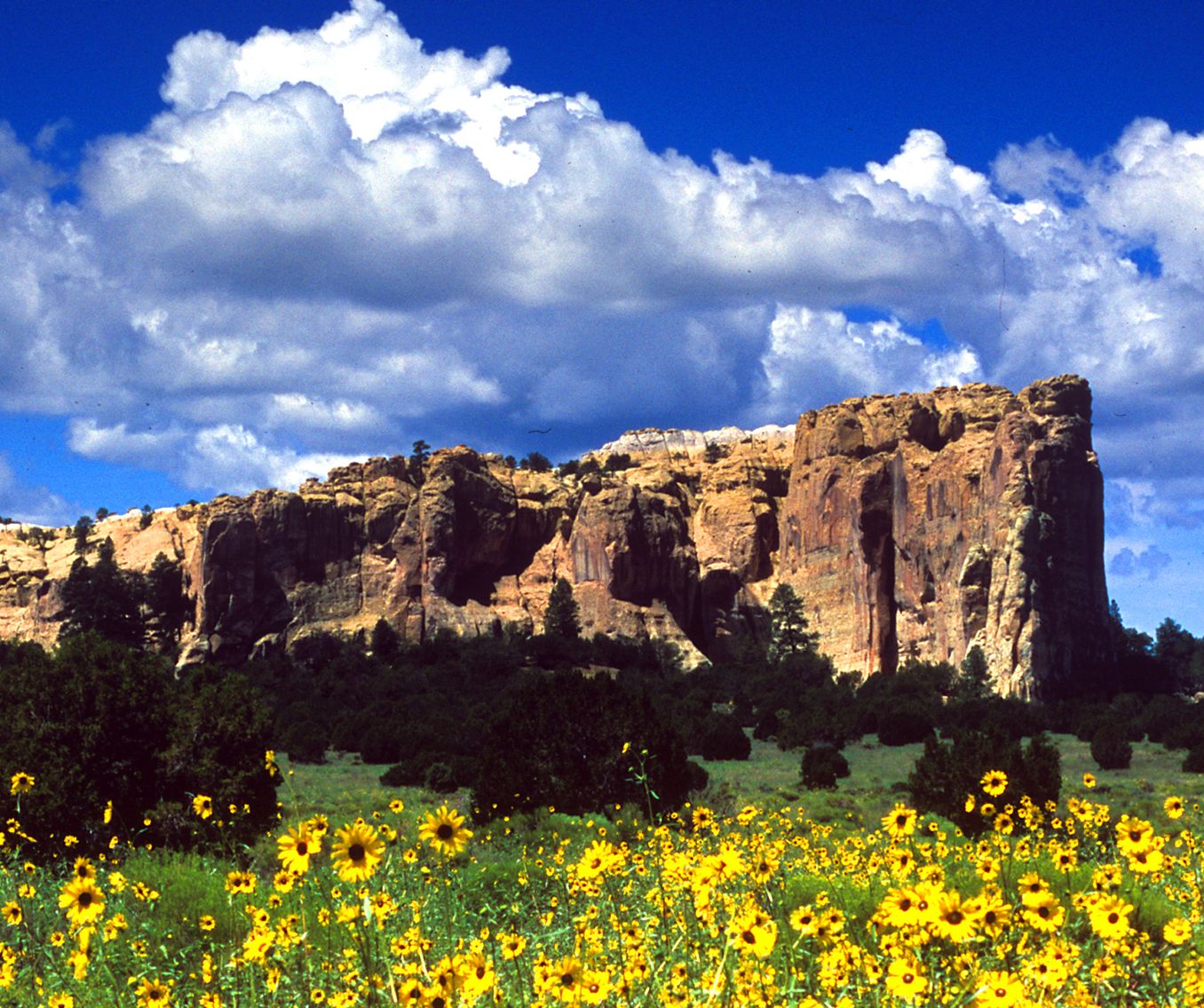 500+ All-American Family Adventures