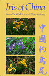 Iris of China