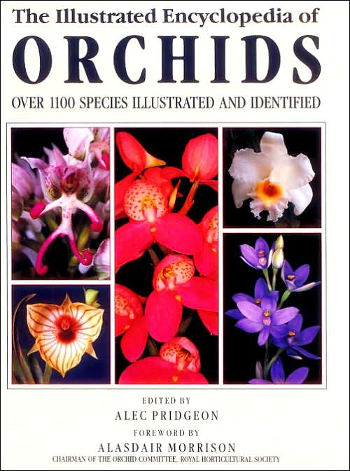 Illustrated Encyclopedia of Orchids